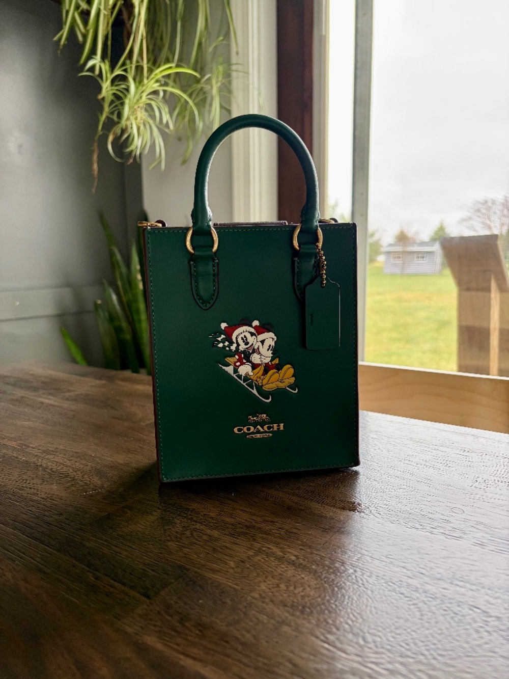 Coach Small Green Leather Mickey and Minnie Mouse Christmas Bag